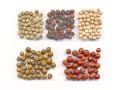 Cultural Interactions with Spices & Herbs
