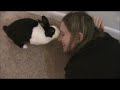 Rabbit Shaming