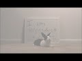 Rabbit Shaming