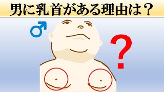 【科学】なぜ男性にも乳首があるの？【理由を解説】