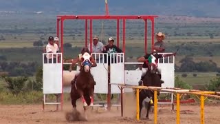 Carreras de caballos en Francisco I. Madero (Fresnillo, Zacatecas)