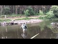 Salmon Fishing Ireland 2013 ( HD )