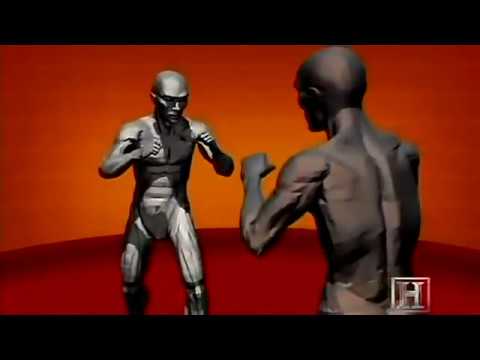 How to KO someone, Learn to fight in 5minutes) - اتفرج تيوب
