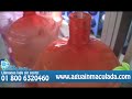 Purificadoras de agua Inmaculada Ganancias con un producto de primera necesidad y calidad