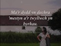 Cariad - Gwyneth Glyn (geiriau / lyrics)