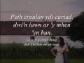 Cariad - Gwyneth Glyn (geiriau / lyrics)