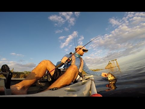 kayak bass fishing on the upper st  johns in florida
