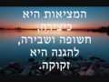 עולם ומציאות 2010