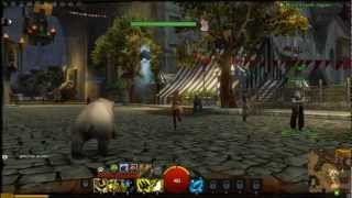 Прохождение Guild Wars 2 - Часть 2-1