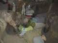Perro grande contra niño pequeño Perro grande contra niño pequeño
