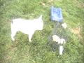 miniature