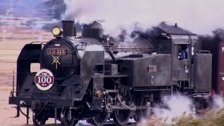 パスポートSP C11蒸気機関車 & N1 &N2 三点セット パスポートSP C11蒸気機関車 & N1 &N2 三点セット