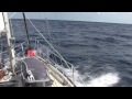 Youth and Ambition Part 2 (Key Biscayne, Florida to Chub Cay Bahamas)