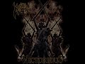 RELLIK - Skies Of Incendiaries