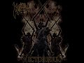 RELLIK - Skies Of Incendiaries