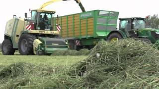 Hirsche in der Grassilage | 6210r,7530,7920,2x8245r,8400,Krone BIGX650 und NH T7040 im Einsatz | HD