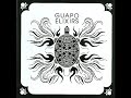 Guapo - Jeweled Turtle