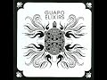 Guapo - Jeweled Turtle