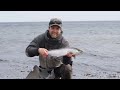 Seatrout Bornholm