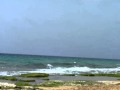 בעינייך.mpg