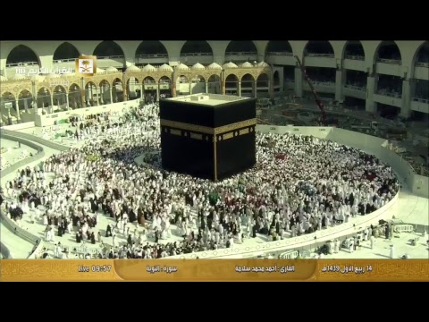 قناة القران الكريم Live Stream - عربي