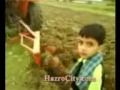 Salim Khan village (Hazro). Tractor in Fields during work.