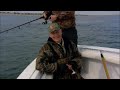 Swimbaits for Stripers