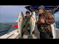 Swimbaits for Stripers