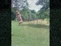 miniature