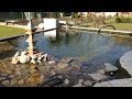 Teich Bilder