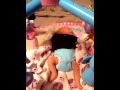 miniature