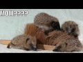 Random WIERD AND FUNNY SHIT!!