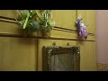 Aksi Ranjang Pengantin Baru Melayu 2010