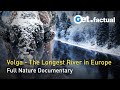 Realm of the Volga - A River is Born - Full Nature Doc 2023