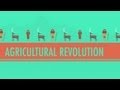 Agricultural Revolution: Crash Course World History #1