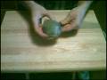 Tutorial ID : 778