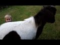 CUTEST VIDEO EVER!!!