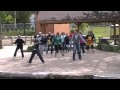 vi-flashmob saginaw zoo 2.MPG - YouTube.flv Thumbnail