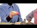 What Kinds of Toys Do Rabbits Like? | Pet Rabbits