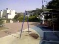 טניצקה צילמה בפארק