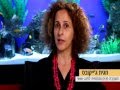 היכן למקם אקווריום ליצירת הרמוניה בחלל עפ הפנג שואי