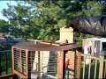 Custom Built Bird Cages – Towa Towa / Canaries / Finches / Small Birds -The Octad Bird Condo