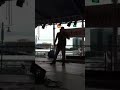 Jake Owen - Eight Second Ride (Cover)