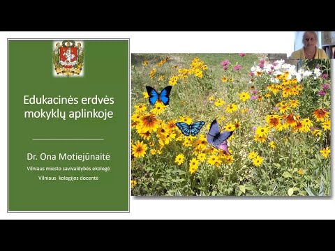 Lietuvos mokinių neformaliojo švietimo centras. Ona Motiejūnaitė. Edukacinės erdvės mokyklų aplinkoje