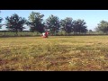 Honda Trx 400 wheelie