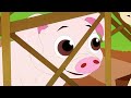 Bingo! (Children's song performed by Patty Shukla)