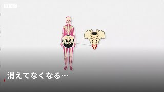 「男性の乳首」は役立たず　人体にとって不要な6つの部位