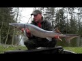 Carp fishing in France - Mirror Carp and Sturgeon in early season