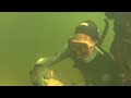 Stone Crab Diving