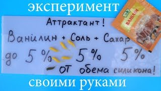 Поверхностные приманки своим руками Поверхностные приманки своим руками